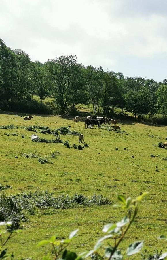 Evasion Nature Et Convivialite Sourcieux-les-Mines Zewnętrze zdjęcie